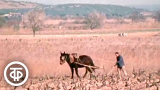 Испания Весной 1976-Го. Документальный Фильм (1976)