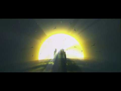 Chameleon Video