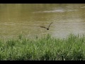 Oasi Naturalistica "La Madonnina" _ Sant'Albano Stura CN