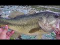 KOPPERS Live Target Frog - Topwater Fishing Tips (Hat Cam Bass)
