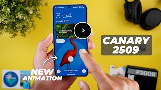 Android Canary 2509 Update New Features, Changes & Latest Developer Build
