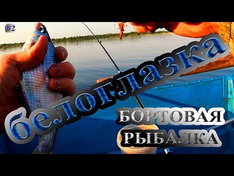 рыбалка на фидер на двине видео рыбалка на фидер на двине видео