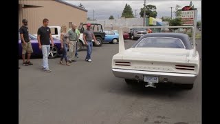 FAMILY SUPERBIRD REVEAL: TRY NOT TO CRY!