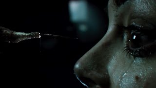 'The Hallow' Trailer