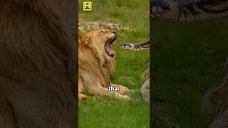 Fascinating Animal Facts You Didnt Know