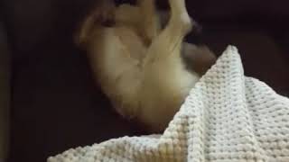 Crazy Cairn
