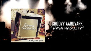 Watch Groovy Aardvark Hava Naguila video