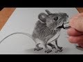 Trick Art, How to Draw 3D Mouse, Time Lapse