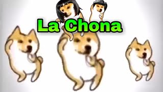 Perritos Bailando La Chona