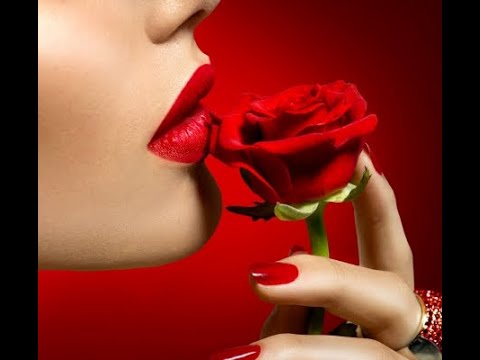 Cat Stevens  ( Yusuf Islam )  Lady D'Arbanville