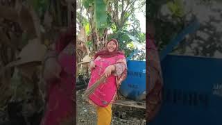 Tapi Tebel