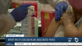 Report 99% Of Covid Deaths Are Unvaccinated People