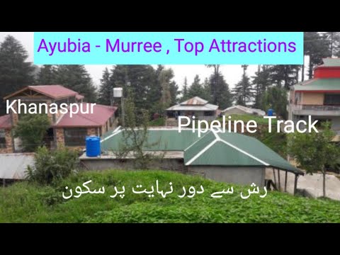 Khanaspur Ayubia // Best Place For Family Tours// Beauty of Galiyat Khanaspur Ayubia // Best Place For Family Tours// Beauty of Galiyat