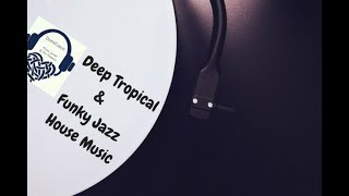Deep Tropical, Funky Jazz & Tech House Music (Classic Mix)