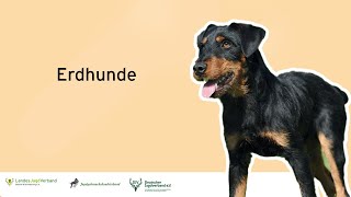 Erdhunde - Online Jagdhundetag