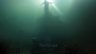 Triticum _ The Spell