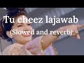 Tu cheez lajawab👌|| ft swapna choudhary (Slowed and reverb) || @Lofi xTream