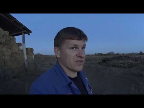 Будни деревенщины // Обшиваю сарай // Резка плазморезом // Шабашки // Починили спину Будни деревенщины // Обшиваю сарай // Резка плазморезом // Шабашки // Починили спину