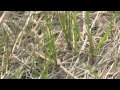 Stormwater Strategies: Erosion & Sediment Control