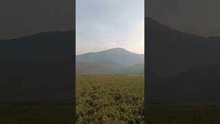 Beautiful Dzukou Valley In Kohima Nagaland
