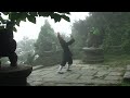 形意Bagua