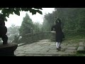 形意Bagua