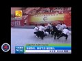 Master James Chee Demonstrates Qi Gong in Quanzhou