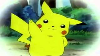 Pikachus Goodbye