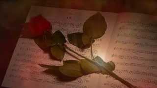 Watch Enchantment My Rose video