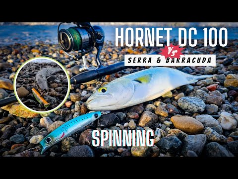 SUPER BATTUTA - SERRA &amp; BARRACUDA VS HORNET - Spinning inshore