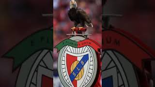 KeQhYKGWscU Video Image