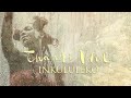Thandi Ntuli - Inkululeko (Official Music Video)