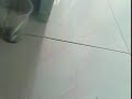 Memek Tante images Memek Tante