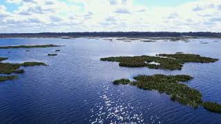 3-6-22 Paynes Prairie 7