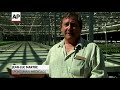 Tobacco Plants May Help Fight Ebola, Flu & More