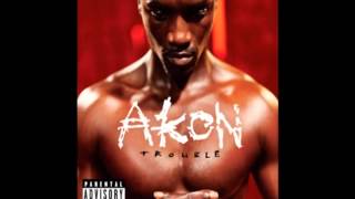 Watch Akon I Wont video