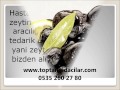 Toptan zeytin fiyatları, Toptan zeytin satışı, Toptan zeytin, İstanbuldaki zeytin toptancıları - Film Yorum