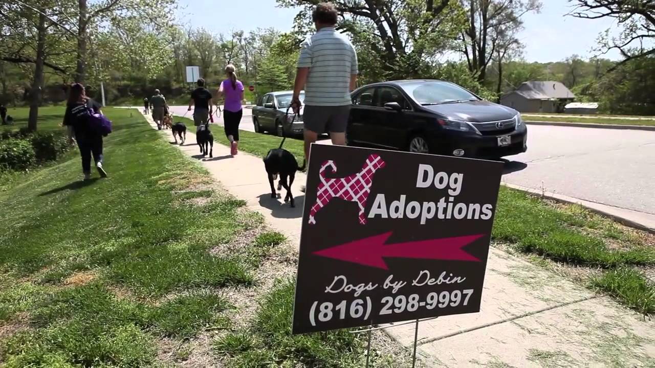 dogs by debin dogs by debin quot no shelter left pack walk quot dogs by debin dogs by debin quot no shelter left pack walk quot