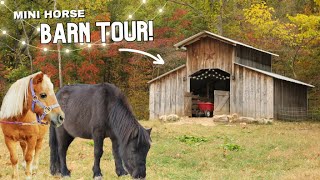 Setting Up The Pony Barn Before And After + We Have A Surprise!