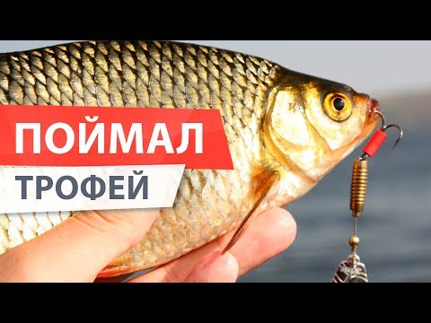 Как сделать каролинскую оснастку Как сделать каролинскую оснастку