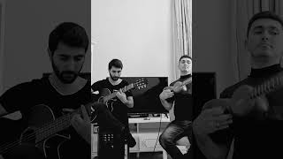 Unuda Bilmirem - Tar Ft Guitar