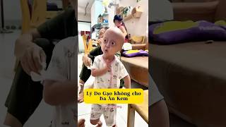 Thông Báo Khẩn Ba Chính Thức Bị Bé Gạo Cắt Khẩu Phần Ăn