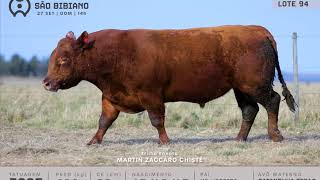 LOTE 94 - TOUROS ANGUS - LEILÃO VIRTUAL SÃO BIBIANO 2020