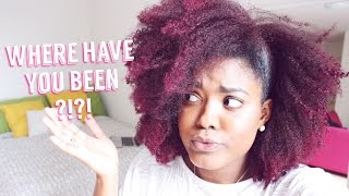 Where Have I Been?? | Updates, Hair Color, Giveaways & MORE!