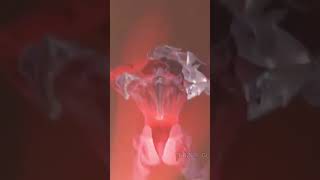 Aatrox Lol League Of Legends
