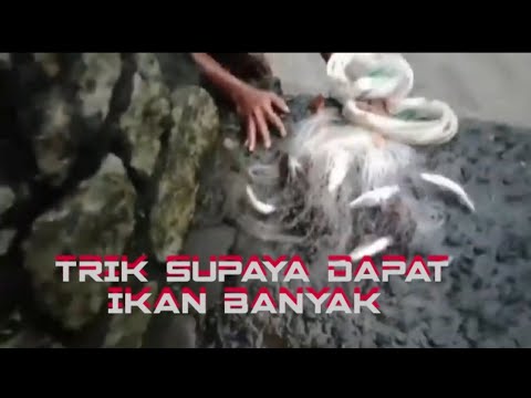 TRIK SUPAYA DAPAT IKAN BANYAK