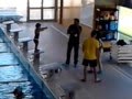 Entrevista da Simone Fragoso para a TV 7 Dias na Piscina de Pinhal Novo Entrevista da Simone Fragoso para a TV 7 Dias na Piscina de Pinhal Novo