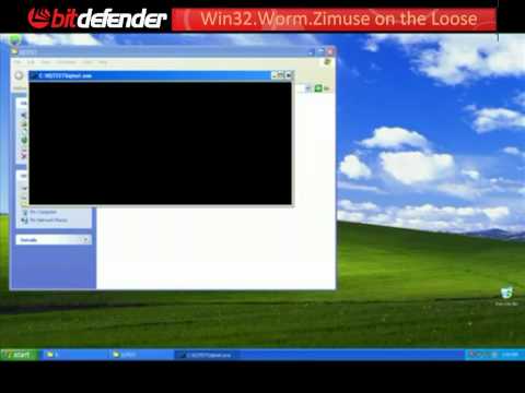 Malware Alert - Win32.Worm.Zimuse.A - The Hard-Disk Wrecker