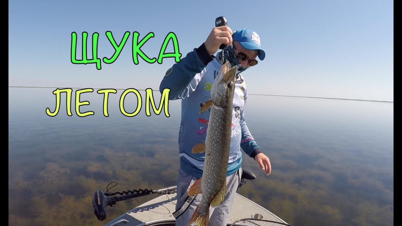 смешная рыбалка на щуку смешная рыбалка на щуку