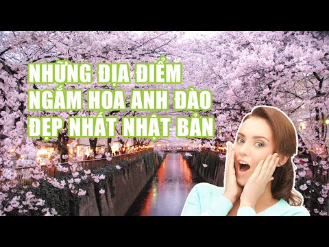 NGẮM HOA ANH ĐÀO NHẬT BẢN - VYCTRAVEL